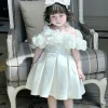 váy tay phồng cho bé 2